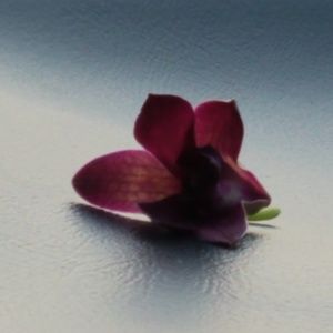 Meet your Posher, Helena